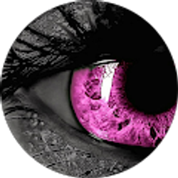 Profile photo of Amanda Swangler