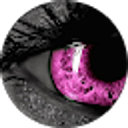 Profile photo of Amanda Swangler
