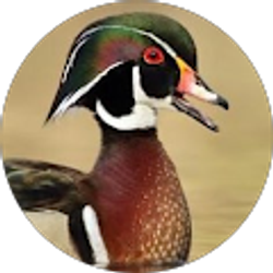 Profile photo of Aaron Harmon