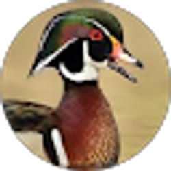 Profile photo of Aaron Harmon