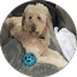 Profile photo of Grace T