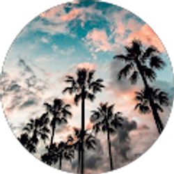 Profile photo of Hayley Harrington