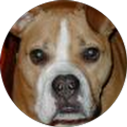 Profile photo of Nicci Christianson