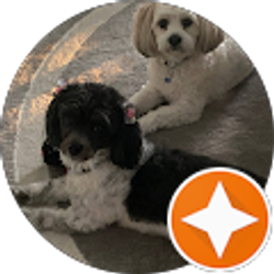 Profile photo of Ann Marie Tozzi