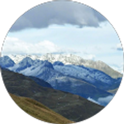 Profile photo of Kim “Kimothy”