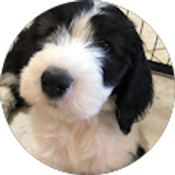 Profile photo of mart0287