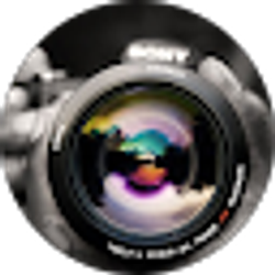 Profile photo of Abbey Ness