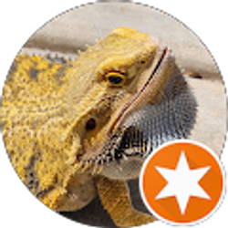 Profile photo of Martin Strong