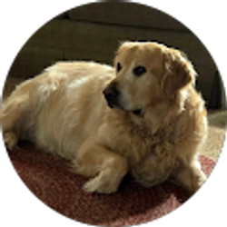 Profile photo of James Smith