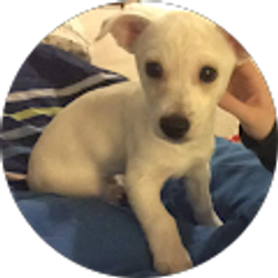 Profile photo of Leslie-Ann Storck