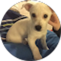 Profile photo of Leslie-Ann Storck