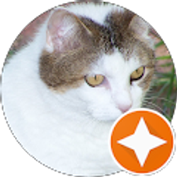 Profile photo of Brenda Sanders