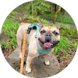 Profile photo of Katherine Eggers