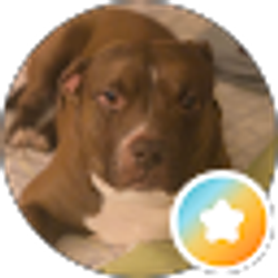 Profile photo of Dianne Comly