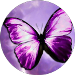 Profile photo of Capritat7