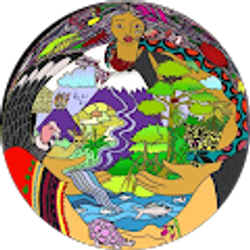 Profile photo of JURIDIA CELI