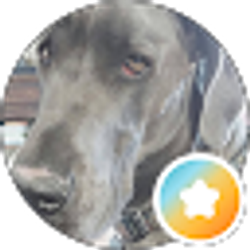 Profile photo of Jennifer Blocker