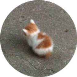 Profile photo of Rubin Kaur