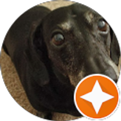 Profile photo of M Alvarez