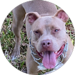 Profile photo of Get right, or get left