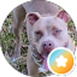 Profile photo of Get right, or get left
