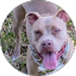 Profile photo of Get right, or get left