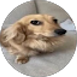 Profile photo of Nathan V