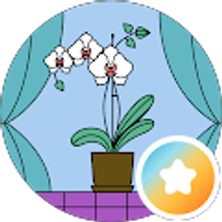 Profile photo of ELENA