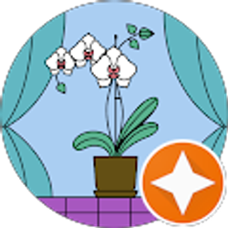 Profile photo of ELENA