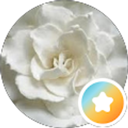 Profile photo of Kimberly LePage
