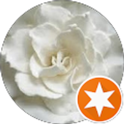 Profile photo of Kimberly LePage