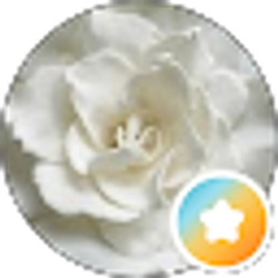 Profile photo of Kimberly LePage
