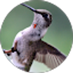 Profile photo of Rhonda Turner