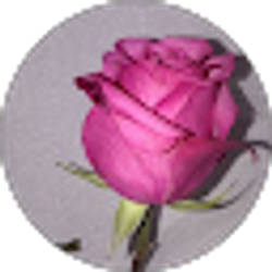 Profile photo of JENNIFFER Lara