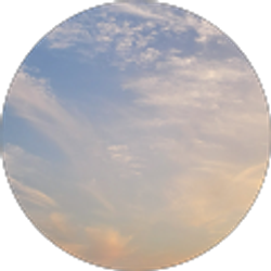 Profile photo of Ava Carroll