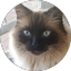 Profile photo of Brent Griffin