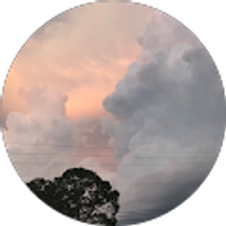 Profile photo of T KING