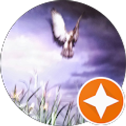 Profile photo of Anna Costilla