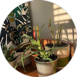 Profile photo of Jomana Kamal