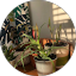 Profile photo of Jomana Kamal