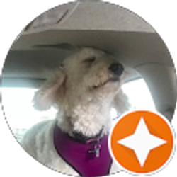 Profile photo of Louise