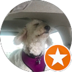 Profile photo of Louise