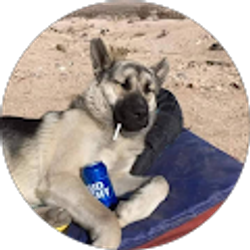 Profile photo of Alisa Cardin