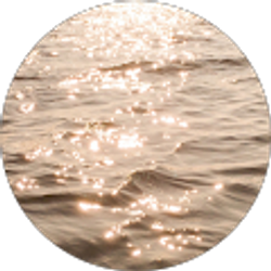 Profile photo of Jack Reed