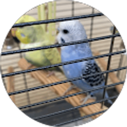 Profile photo of Kaoruko Suzuki