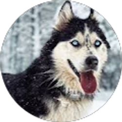 Profile photo of Alyssa Pana