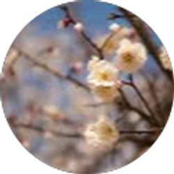 Profile photo of naomi rupp