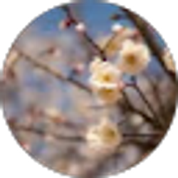 Profile photo of naomi rupp