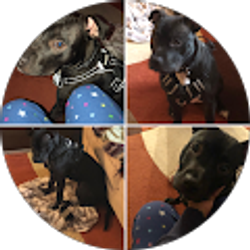 Profile photo of Kiki G