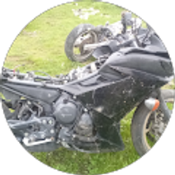 Profile photo of Luis Pensuel